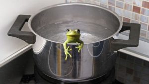 Frog in a pot on a stove